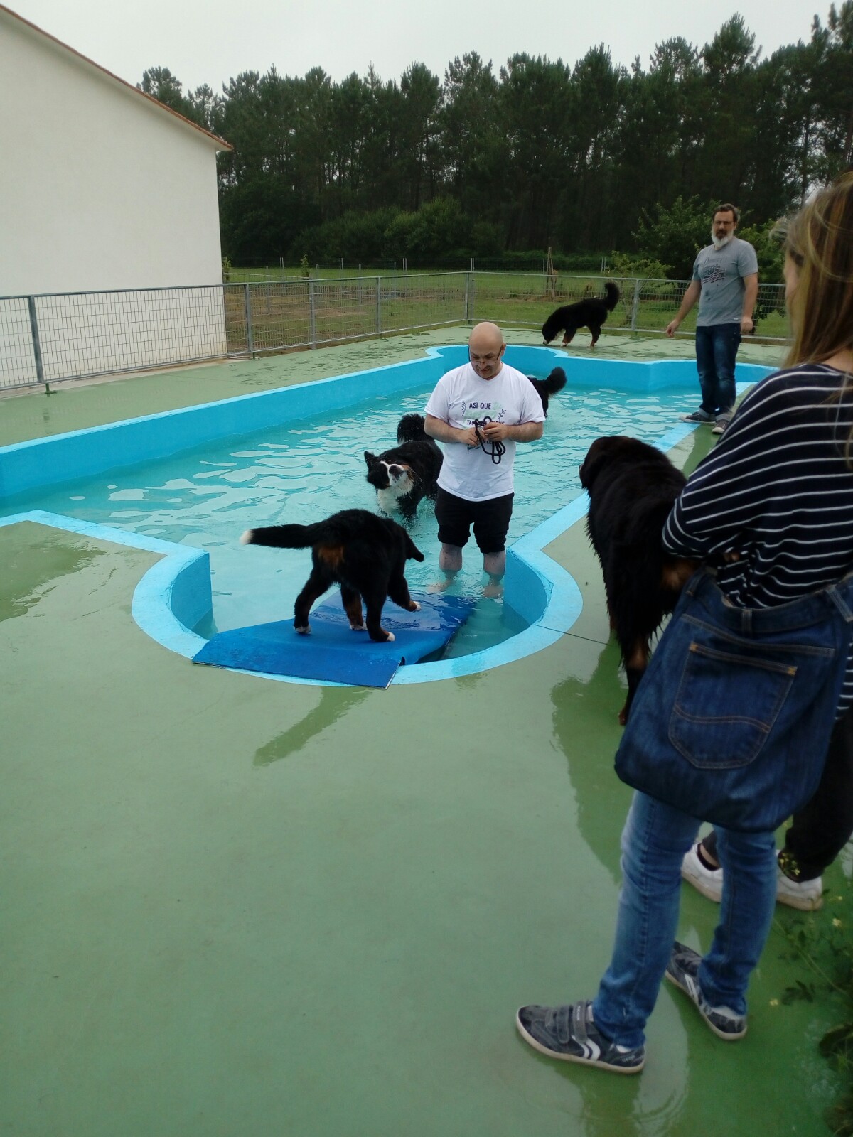 Nos encanta nuestra piscina con forma de hueso y que chapuzones...