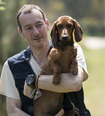 Adiestrador Canino Profesional