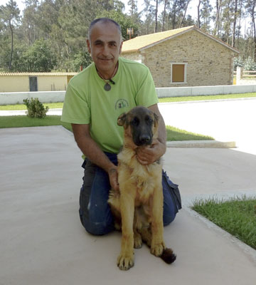 Cuidador Canino Profesional